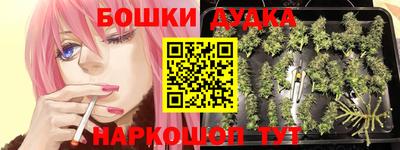 гидропоника Ирбит
