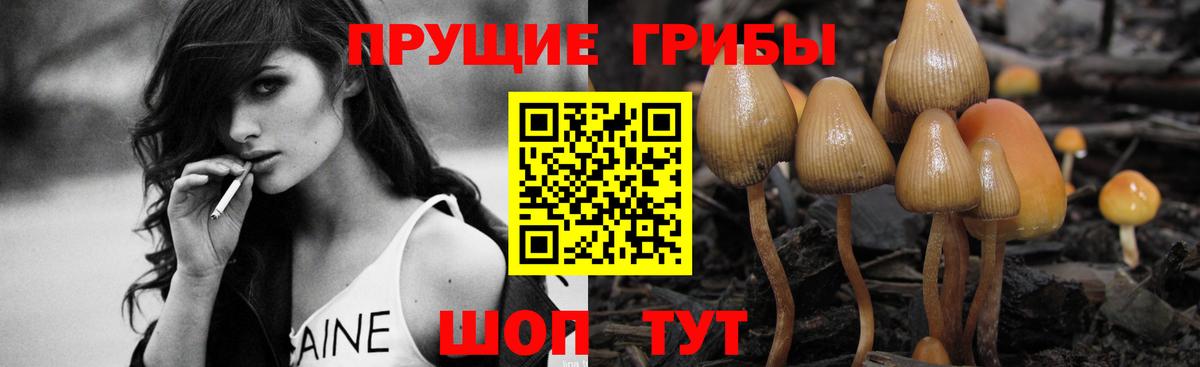 Галлюциногенные грибы Magic Shrooms Донской